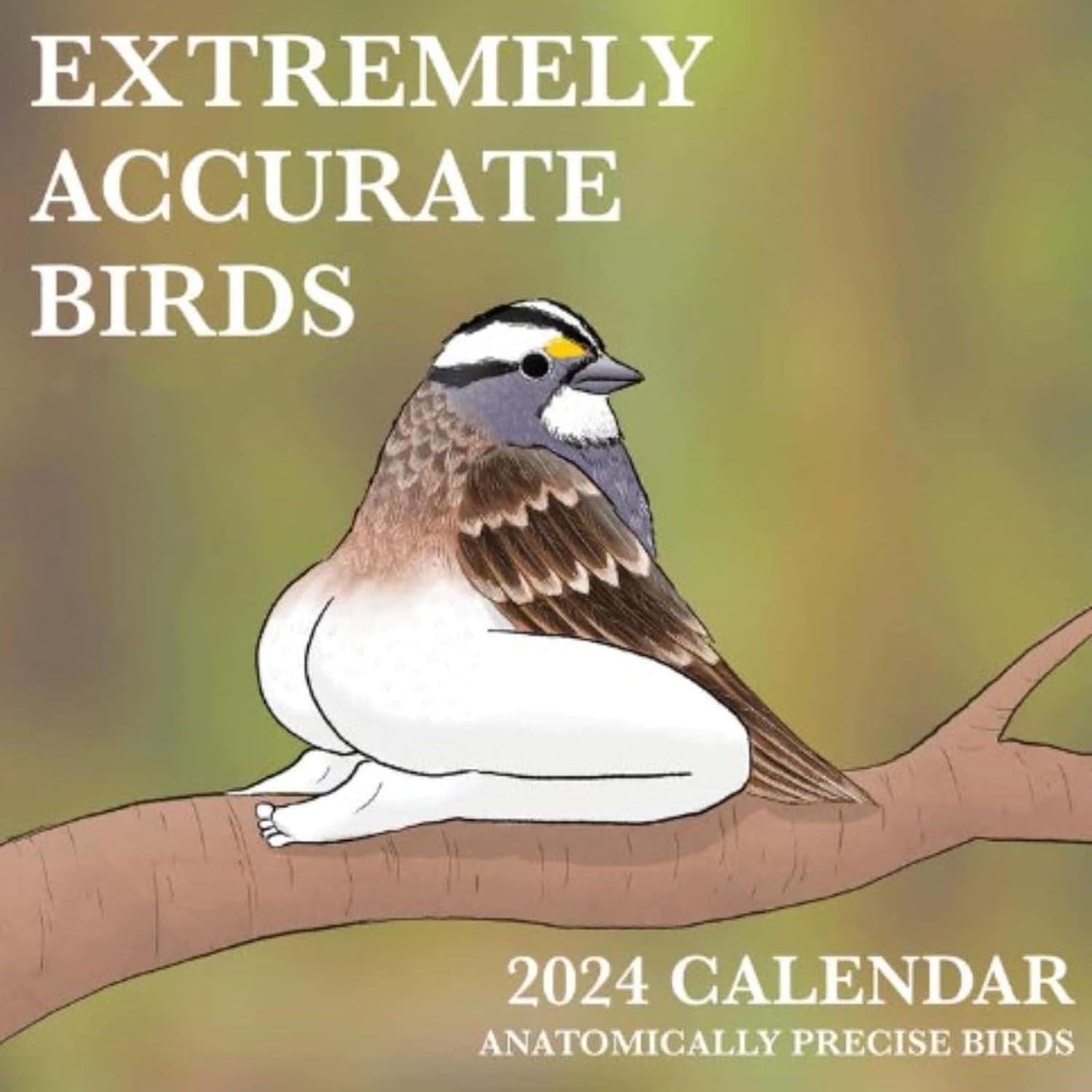 Calendario da parete 2024 di uccelli estremamente accurati