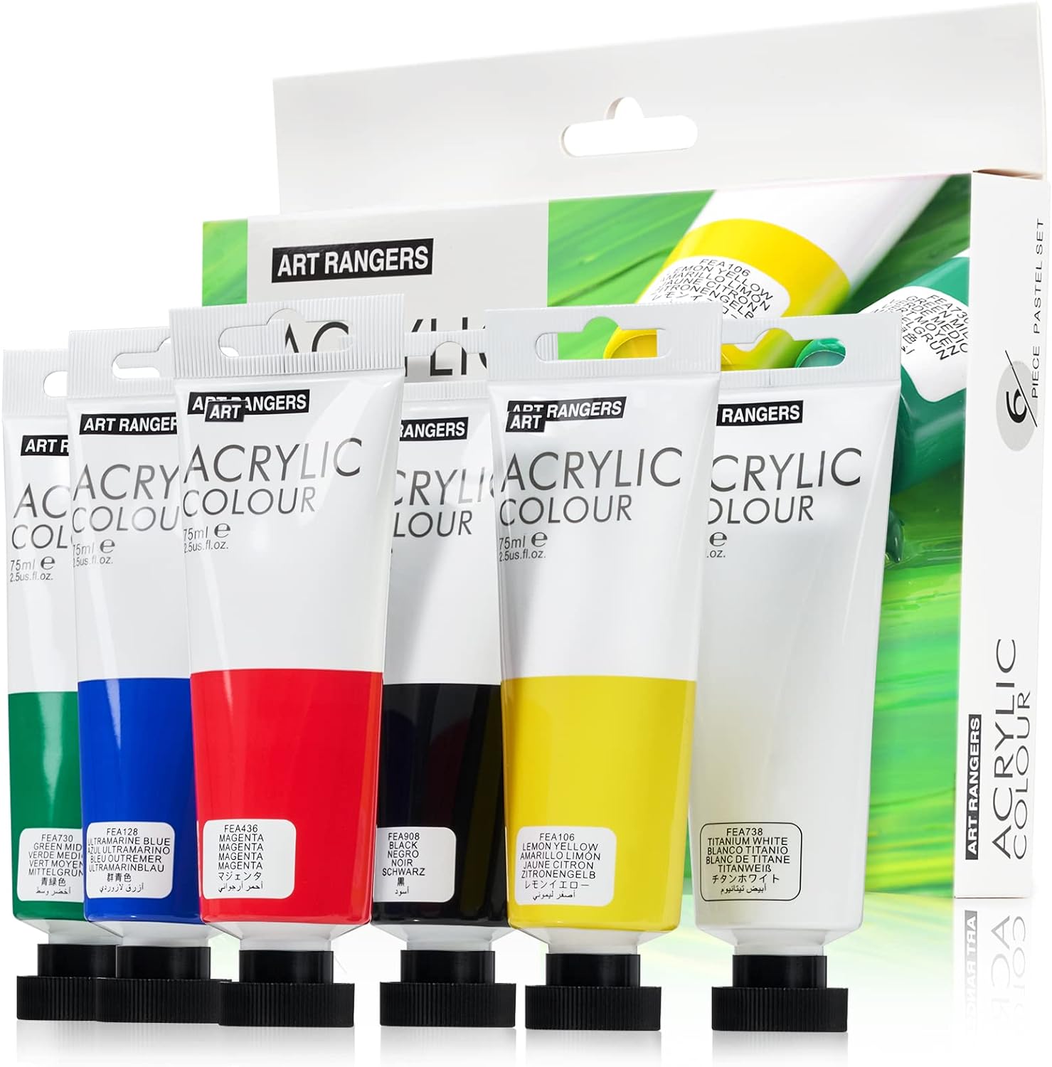 6 Acrylic Paint Art Supplies Set,75 ml Tubes,Regular Color