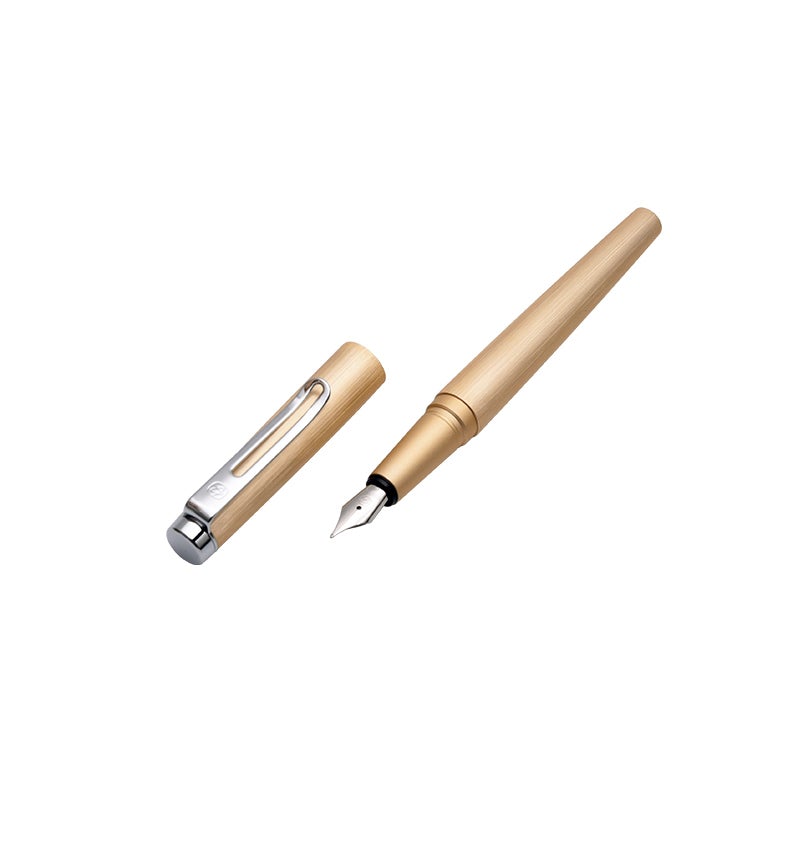 Kaco Angle Fountain Pen