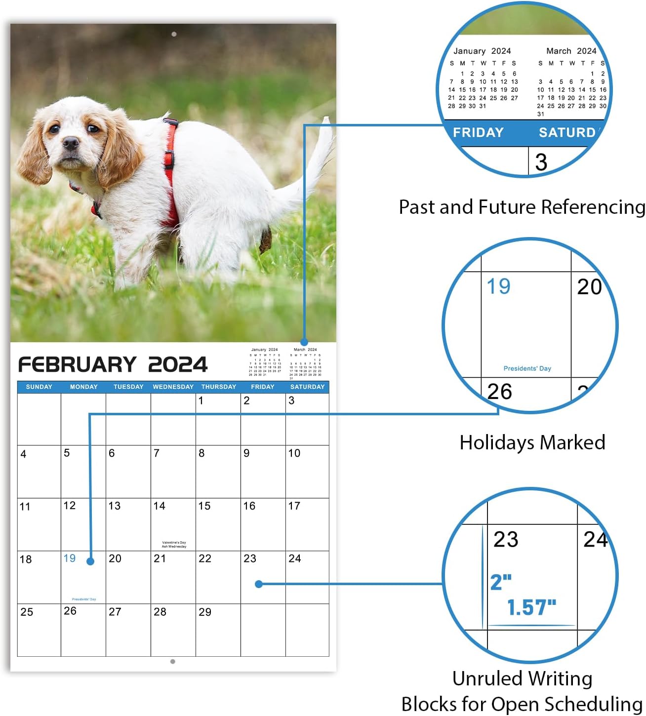 2024 Wall Calendar Crapping Dogs